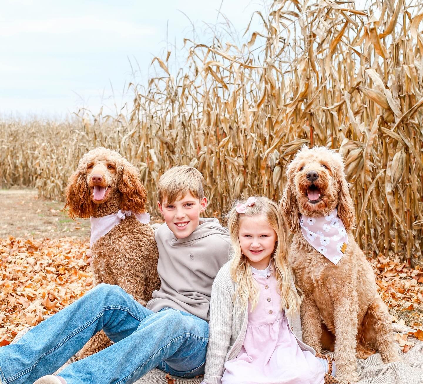 Furry Friends HQ News: Commitment to Healthy Puppies & Care