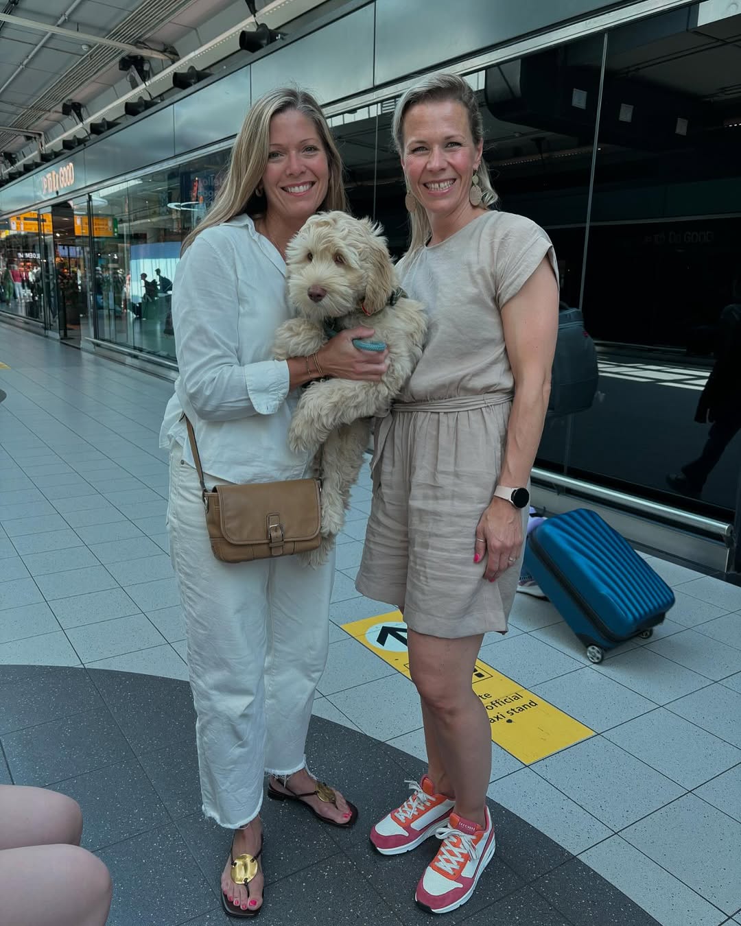 Pet Transportation: How to Safely Bring a Puppy Home From Another State