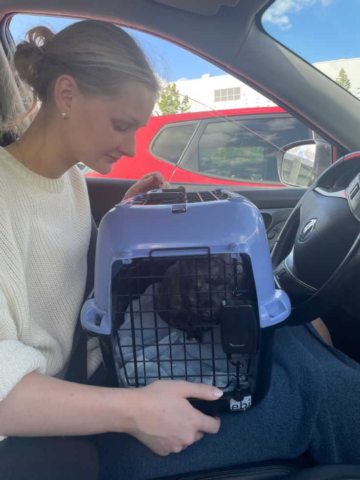 Puppy Shipping Guide: How to Transport a Puppy Safely (2026)