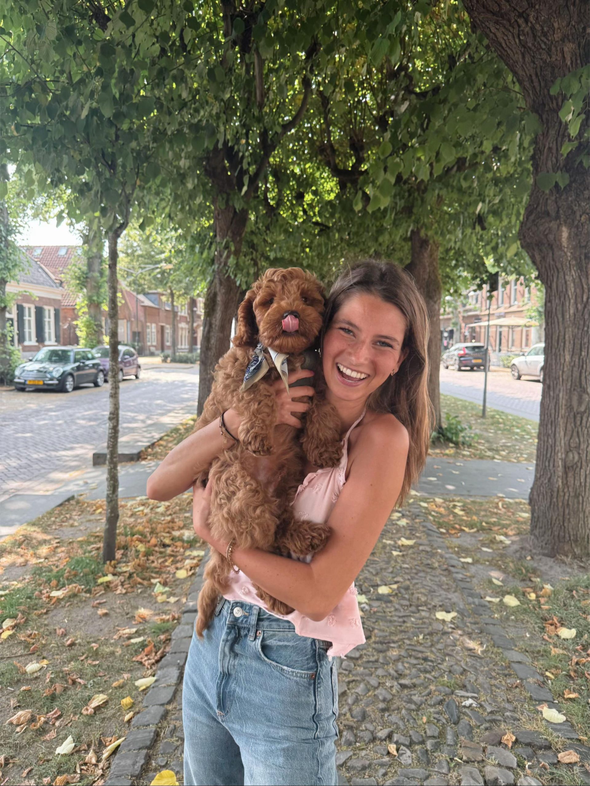 What’s New at Furry Friends HQ | Puppy Adoption & Care Guide