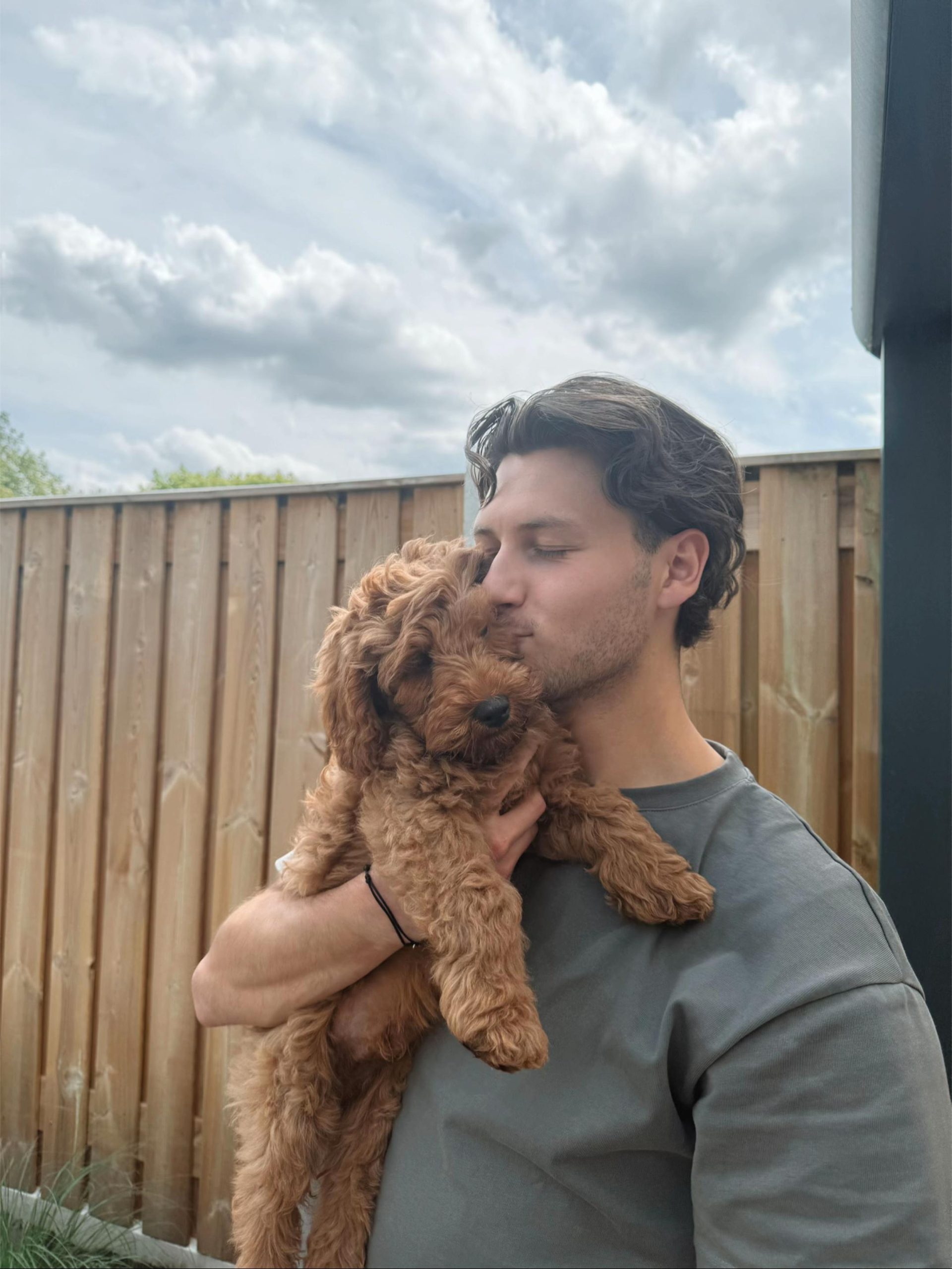 Puppy Adoption & Care Guide